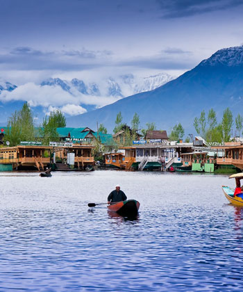 Kashmir